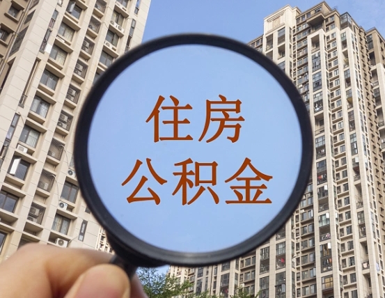 沈阳退休后查不到公积金明细了吗（退休后公积金查询不到原因）